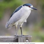 畅享番茄免费小说漫画,尽情探索精彩故事世界 0w0sdf