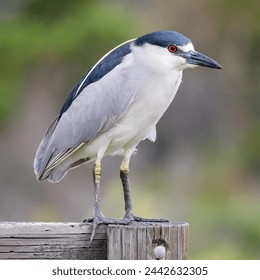 畅享番茄免费小说漫画，尽情探索精彩故事世界