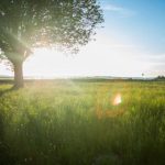 畅享漫画乐趣,尽在开心看漫画官网 45442