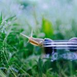 网页版e站:探索全新在线购物体验,尽享便捷与优惠 6v1xb7hdf