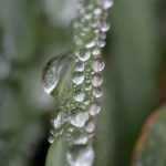 美丽新世界250:向组长郑重承诺,共创辉煌未来 796mne