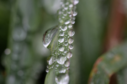 美丽新世界250：向组长郑重承诺，共创辉煌未来