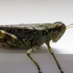 美丽新世界免费阅读漫画完整版:探索未来的奇幻旅程 r54c8