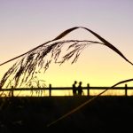 美剧免费观看软件天天美剧:畅享最新美剧,轻松追剧无压力! tc88b5u765