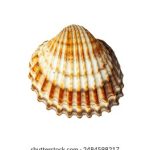 畅享浙江卫视精彩节目在线观看免费观看的最佳途径 ttldnv5uk