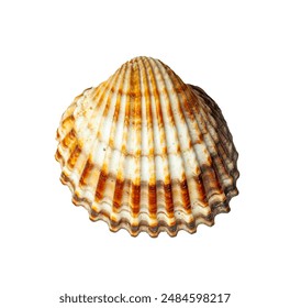 畅享浙江卫视精彩节目在线观看免费观看的最佳途径